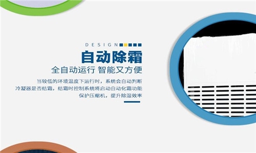 新風麻豆视频免费看，地下室空間不閑置