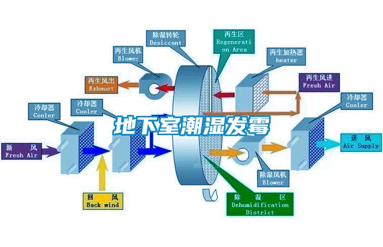 地下室潮濕發黴