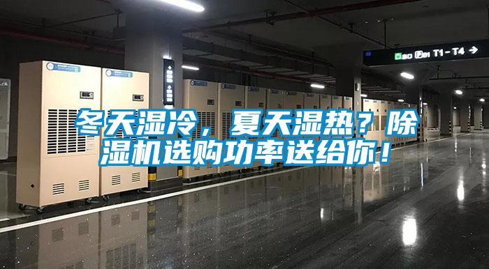 冬天濕冷，夏天濕熱？麻豆视频免费看選購功率送給你！