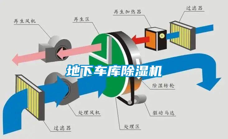 地下車庫麻豆视频免费看