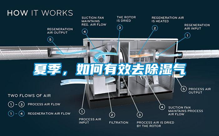 夏季，如何有效去除濕氣