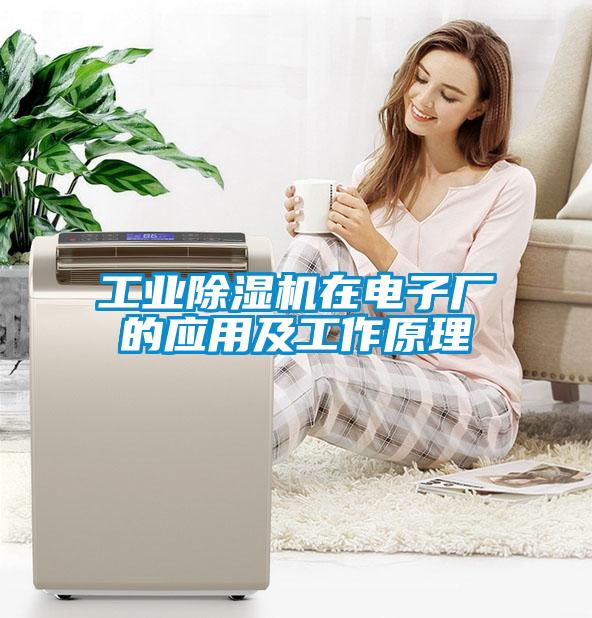 工業麻豆视频免费看在電子廠的應用及工作原理