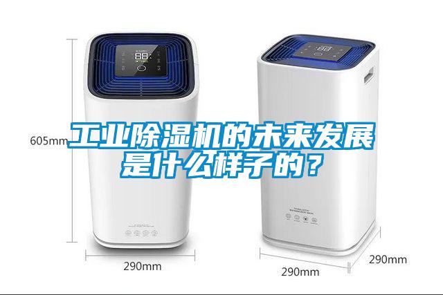 工業麻豆视频免费看的未來發展是什麽樣子的？