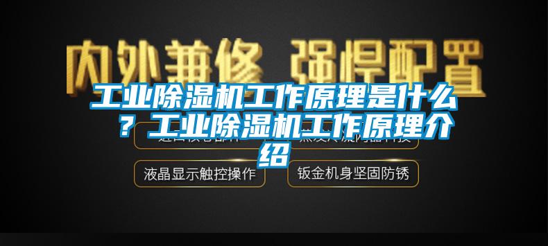 工業麻豆视频免费看工作原理是什麽 ？工業麻豆视频免费看工作原理介紹