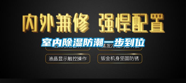 室內除濕防潮一步到位