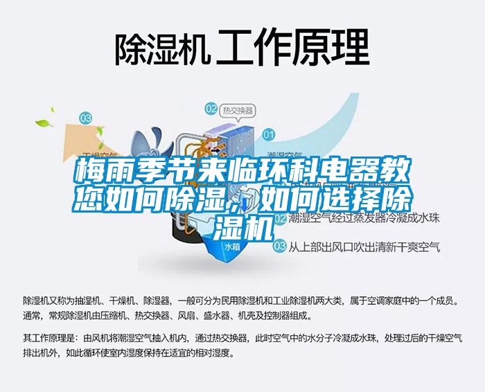 梅雨季節來臨環科電器教您如何除濕，如何選擇麻豆视频免费看