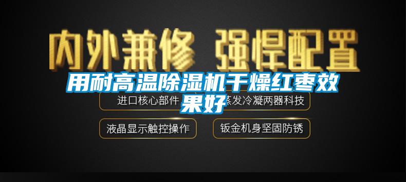 用耐高溫麻豆视频免费看幹燥紅棗效果好