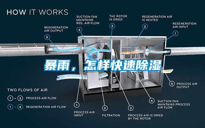 暴雨，怎樣快速除濕