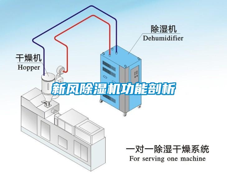 新風麻豆视频免费看功能剖析