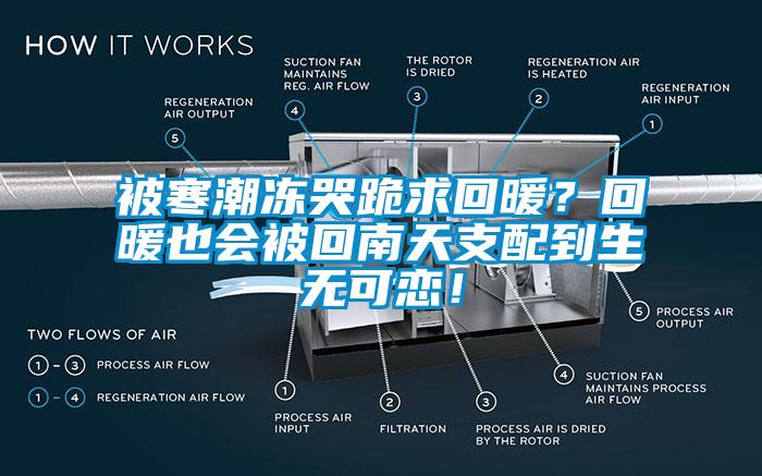 被寒潮凍哭跪求回暖？回暖也會被回南天支配到生無可戀！