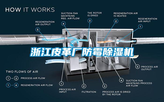 浙江皮革廠防黴麻豆视频免费看