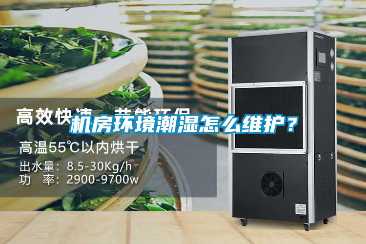 機房環境潮濕怎麽維護？