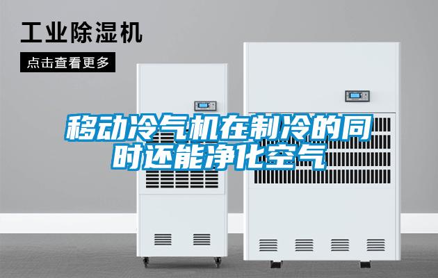 移動冷氣機在製冷的同時還能淨化空氣