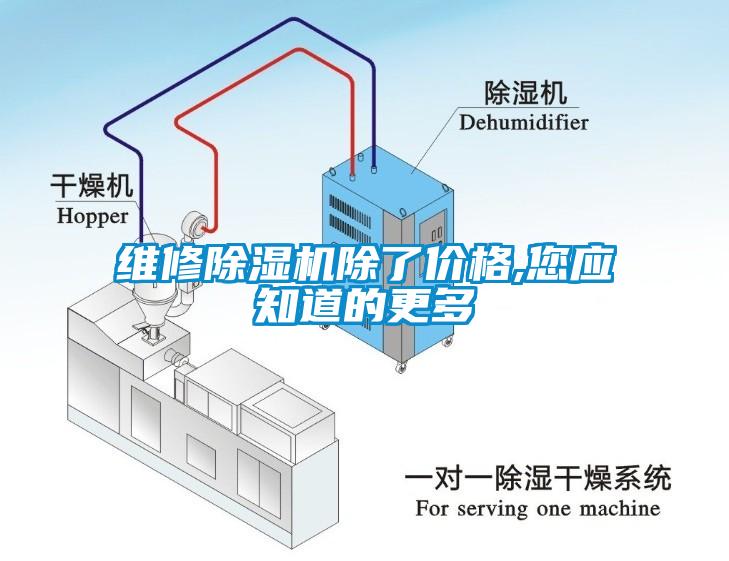 維修麻豆视频免费看除了價格,您應知道的更多