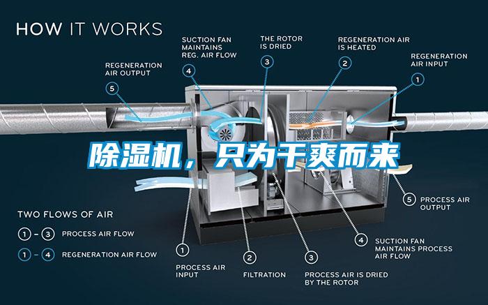 麻豆视频免费看，隻為幹爽而來