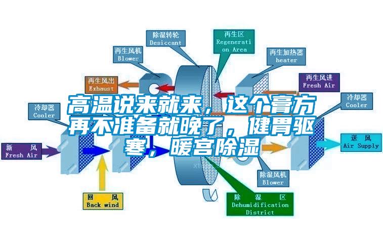 高溫說來就來，這個膏方再不準備就晚了，健胃驅寒，暖宮除濕