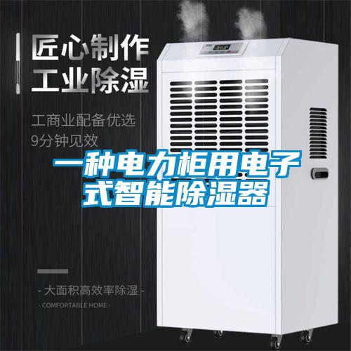 一種電力櫃用電子式智能除濕器