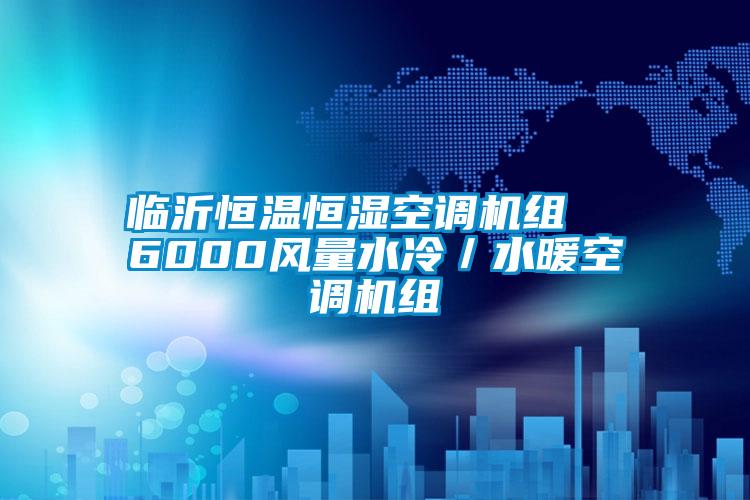 臨沂恒溫恒濕空調機組  6000風量水冷／水暖空調機組