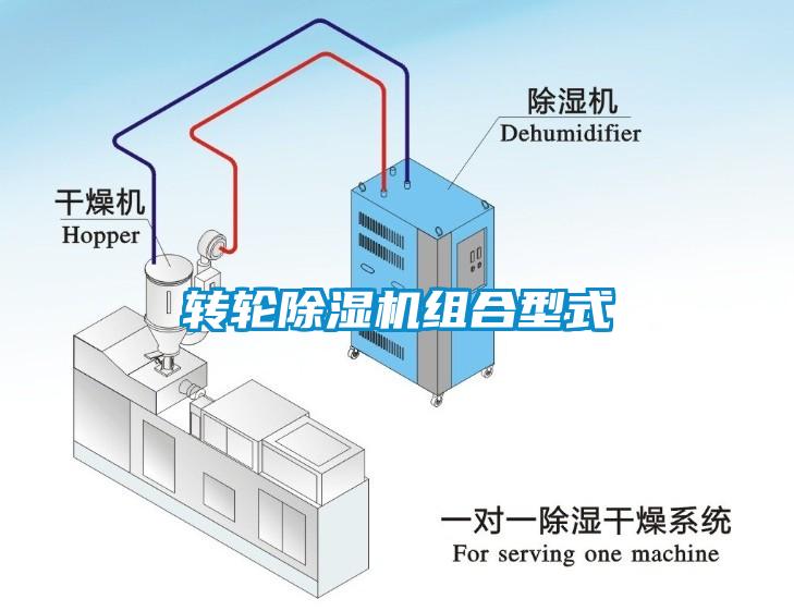 轉輪麻豆视频免费看組合型式