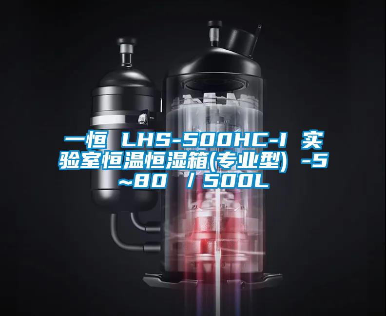 一恒 LHS-500HC-I 實驗室恒溫恒濕箱(專業型) -5~80℃／500L