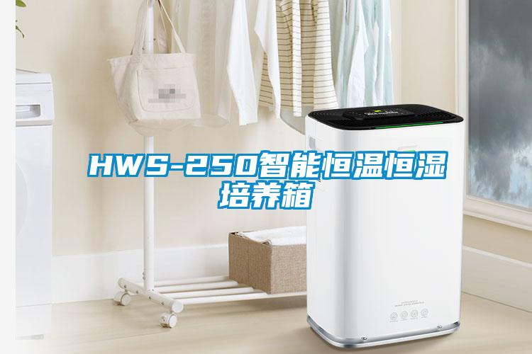 HWS-250智能恒溫恒濕培養箱