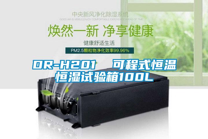 DR-H201  可程式恒溫恒濕試驗箱100L