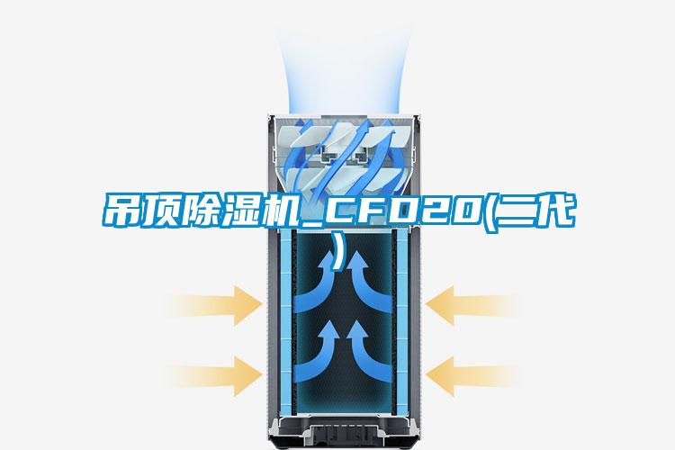 吊頂麻豆视频免费看_CFD20(二代)