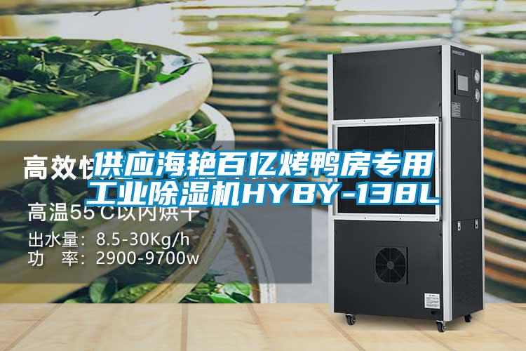 供應海豔百億烤鴨房專用工業麻豆视频免费看HYBY-138L