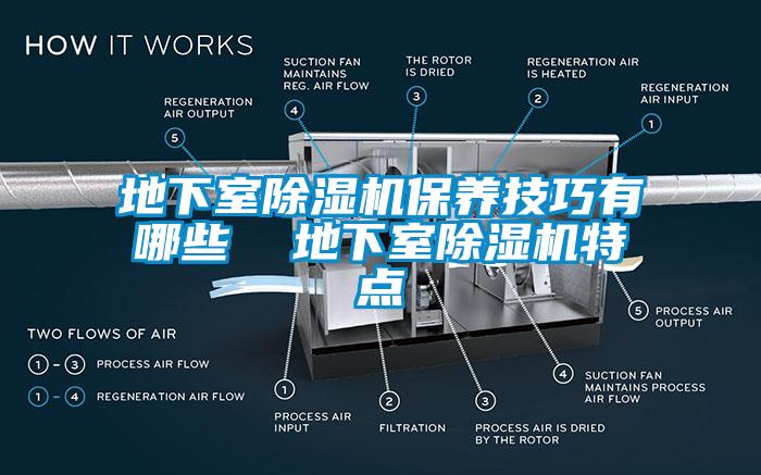 地下室麻豆视频免费看保養技巧有哪些  地下室麻豆视频免费看特點