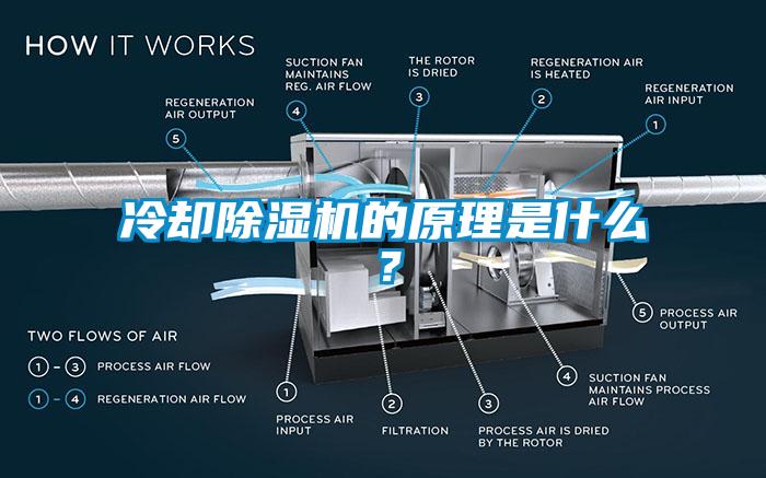 冷卻麻豆视频免费看的原理是什麽？