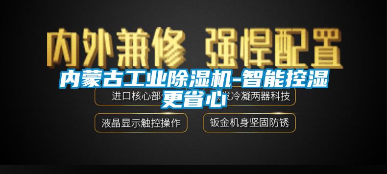 內蒙古工業麻豆视频免费看-智能控濕更省心