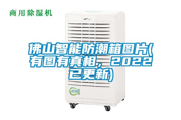 佛山智能防潮箱圖片(有圖有真相，2022已更新)