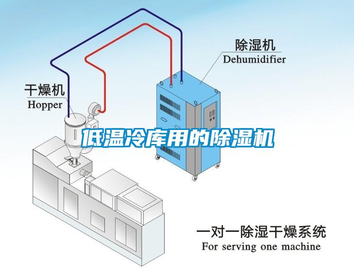 低溫冷庫用的麻豆视频免费看