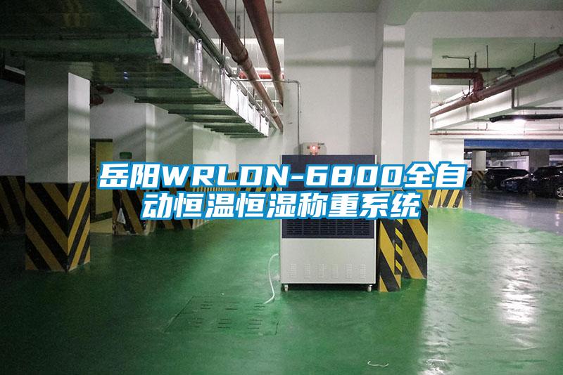 嶽陽WRLDN-6800全自動恒溫恒濕稱重係統