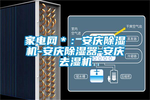 家電網＊：安慶麻豆视频免费看-安慶除濕器-安慶去濕機