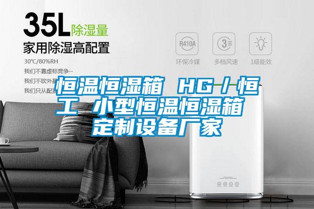 恒溫恒濕箱 HG／恒工 小型恒溫恒濕箱 定製設備廠家