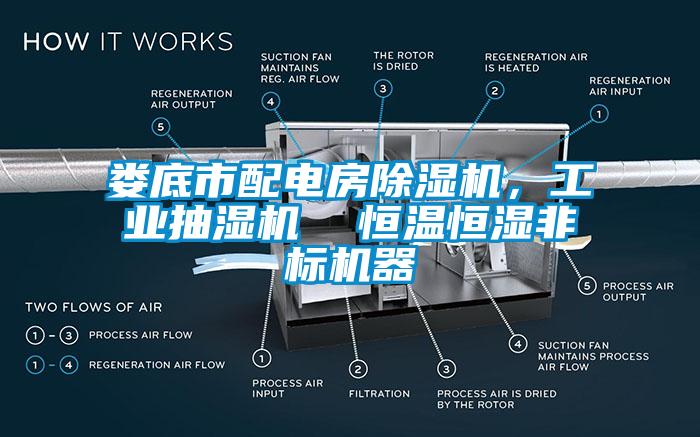 婁底市配電房麻豆视频免费看，工業抽濕機  恒溫恒濕非標機器