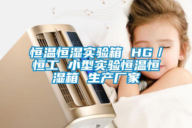 恒溫恒濕實驗箱 HG／恒工 小型實驗恒溫恒濕箱 生產廠家