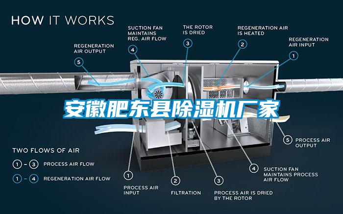 安徽肥東縣麻豆视频免费看廠家