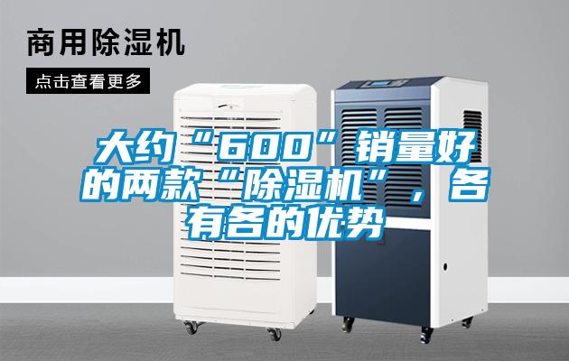 大約“600”銷量好的兩款“麻豆视频免费看”，各有各的優勢