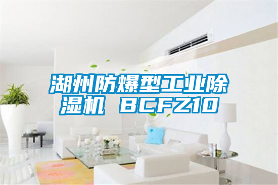 湖州防爆型工業麻豆视频免费看 BCFZ10