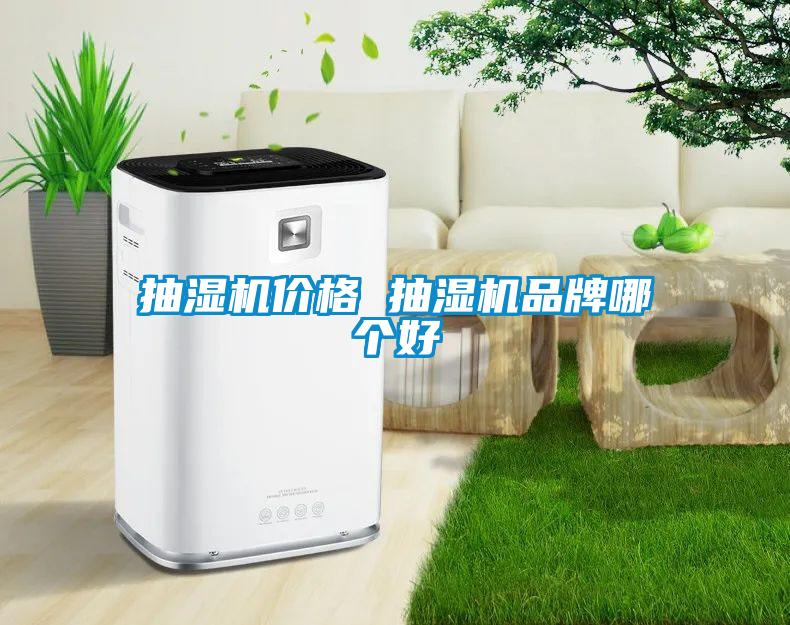 抽濕機價格 抽濕機品牌哪個好