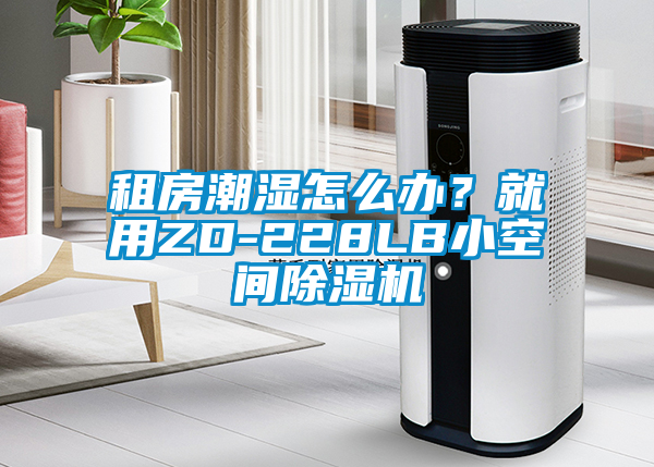 租房潮濕怎麽辦？就用ZD-228LB小空間麻豆视频免费看