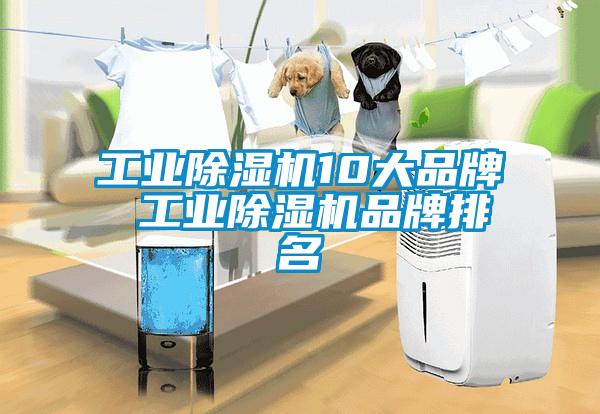 工業麻豆视频免费看10大品牌 工業麻豆视频免费看品牌排名