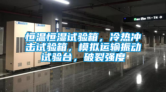 恒溫恒濕試驗箱，冷熱衝擊試驗箱，模擬運輸振動試驗台，破裂強度