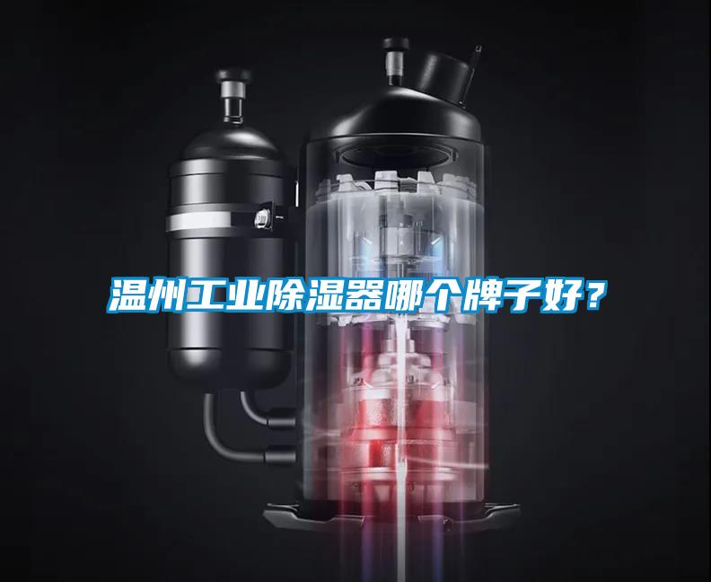 溫州工業除濕器哪個牌子好？