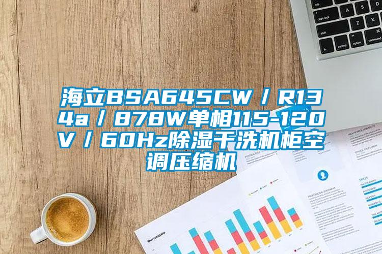 海立BSA645CW／R134a／878W單相115-120V／60Hz除濕幹洗機櫃空調壓縮機