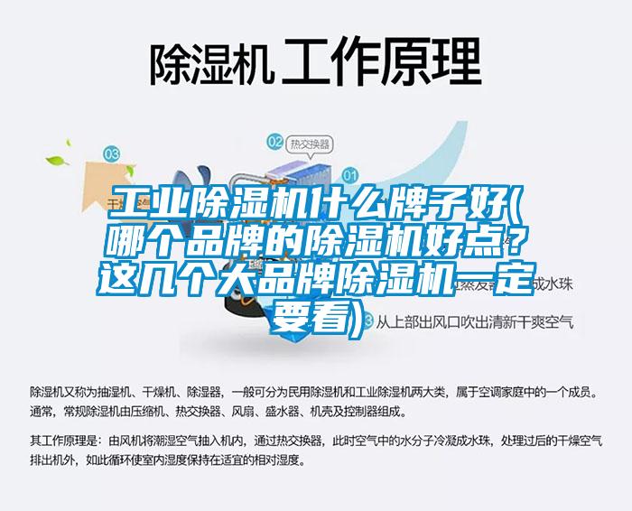 工業麻豆视频免费看什麽牌子好(哪個品牌的麻豆视频免费看好點？這幾個大品牌麻豆视频免费看一定要看)