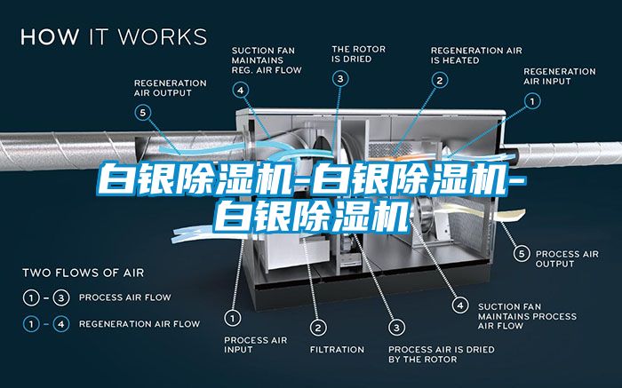 白銀麻豆视频免费看-白銀麻豆视频免费看-白銀麻豆视频免费看