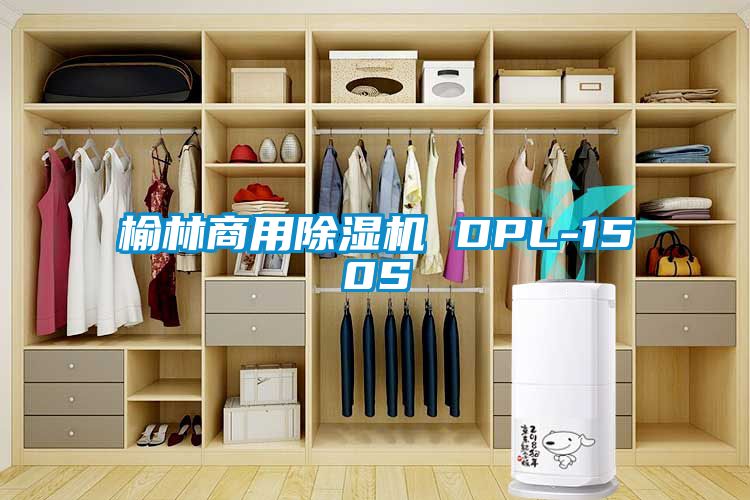 榆林商用麻豆视频免费看 DPL-150S